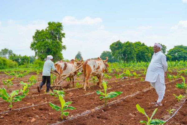Agro-Food-Processing-1.jpg