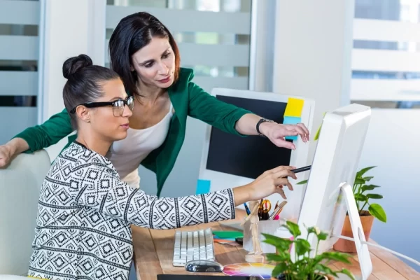 Entrepreneurship and Startup Support